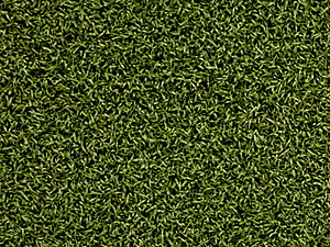 Спортивная и ландшафтная искусственная трава. Выбор искуственной травы. 